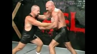 Bears wrestle and have sex